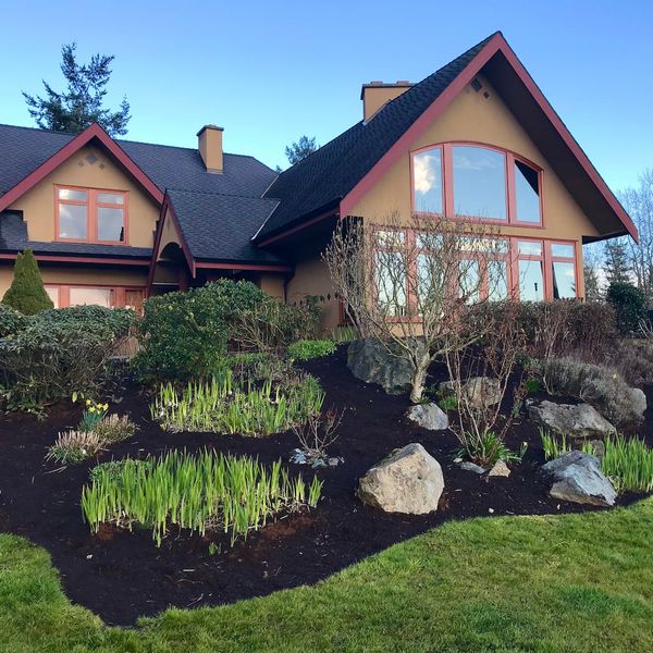 Restored garden bed showing layered planting and clean edges